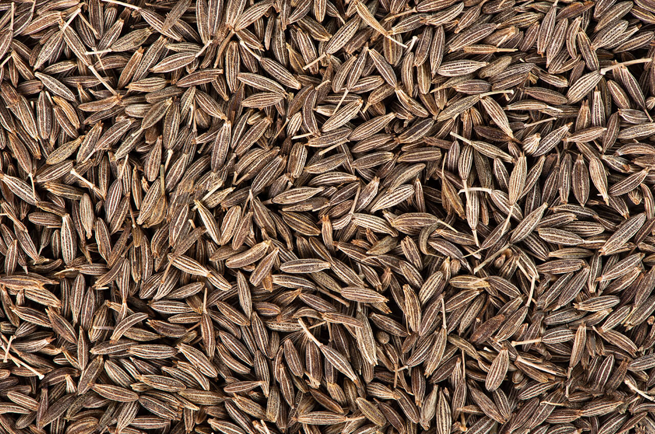 research-cumin.jpg